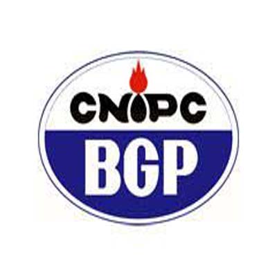 BGP China Company